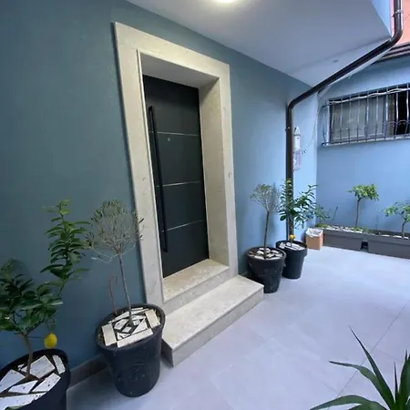 Vila-amo Center 地拉那